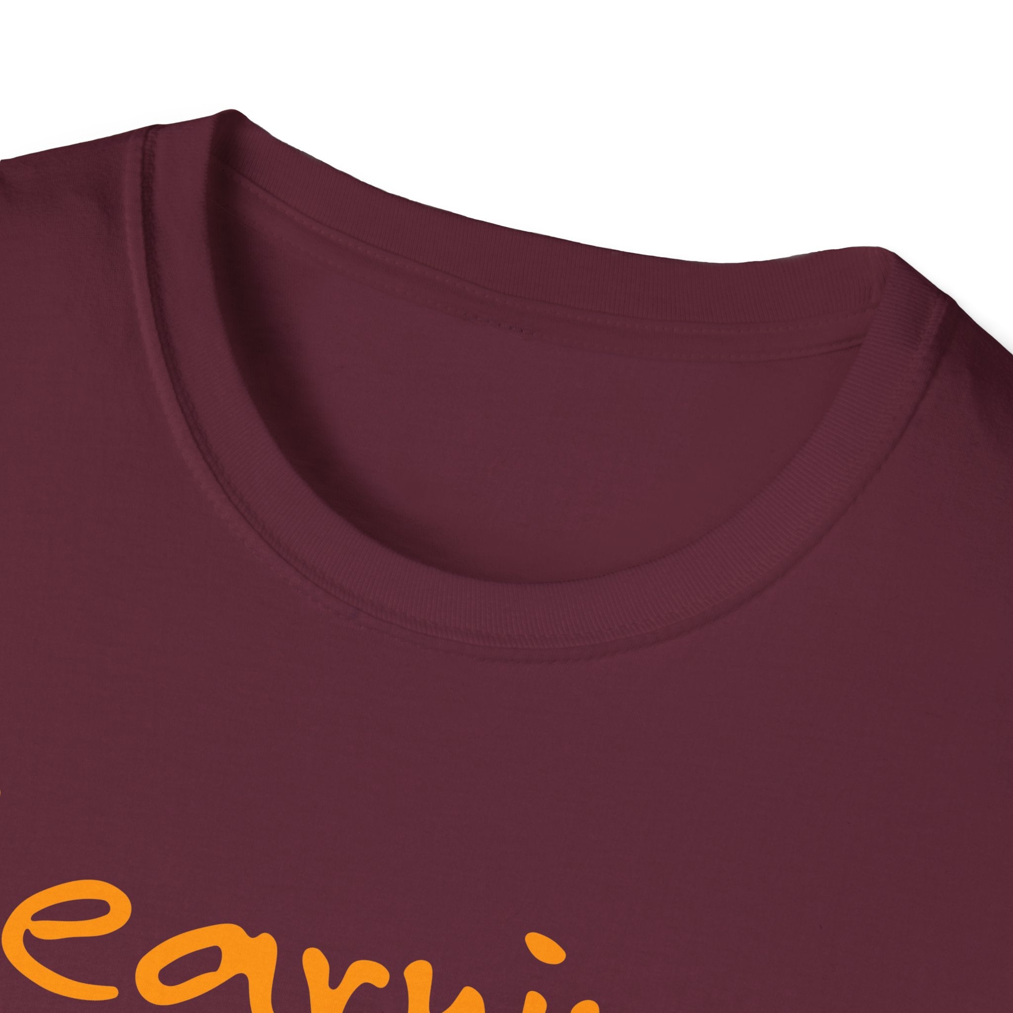 Learning Today Leading Tomorrow Unisex Softstyle T-Shirt, Inspirational Shirt, Back to School Gift, Teacher Appreciation Tee